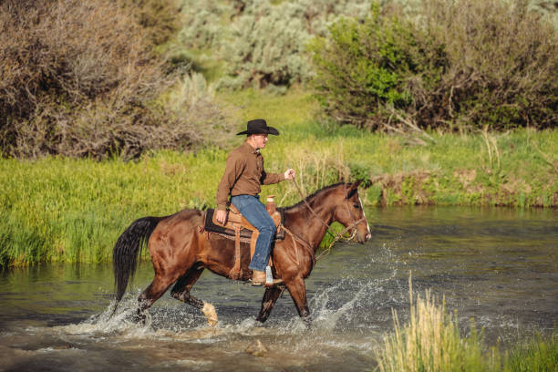 istock Utah Cowboy riding across the river 976983800