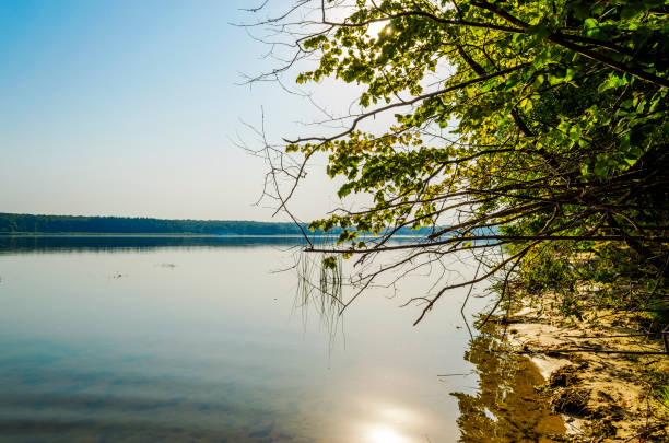 istock lake in the morning 976995964