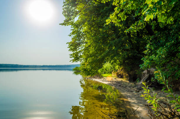 istock lake in the morning 976995988