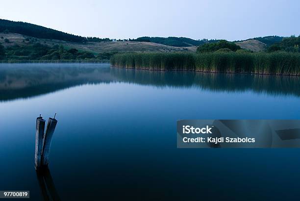 Lago - Fotografie stock e altre immagini di Ambientazione tranquilla - Ambientazione tranquilla, Bianco, Blu