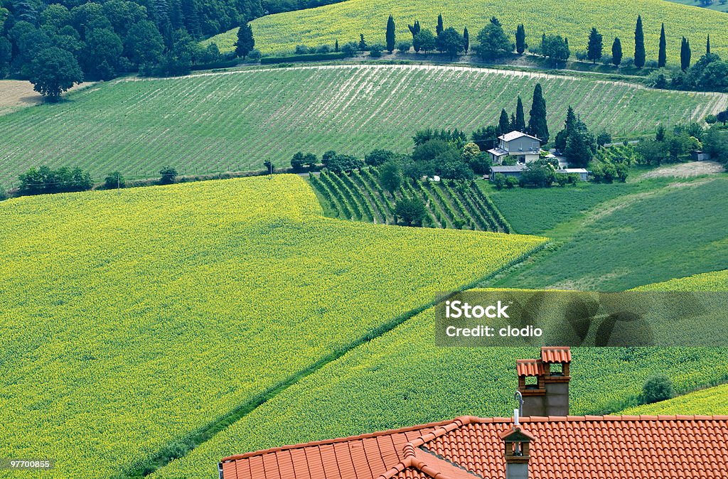 Landschaft in Romagna im Sommer - Lizenzfrei Agrarbetrieb Stock-Foto