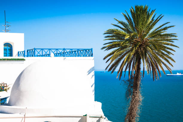 Cafe with beautiful view on Sidi Bou Said harbour