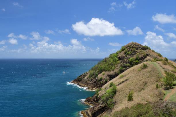 istock Pigeon island in Saint Lucia 977016984