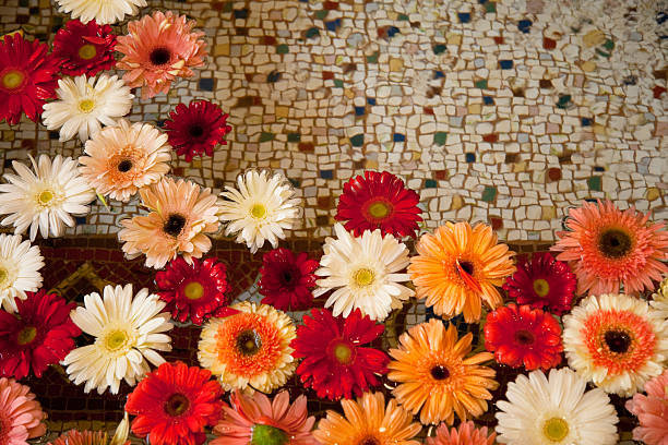 Flowers in a fountain stock photo