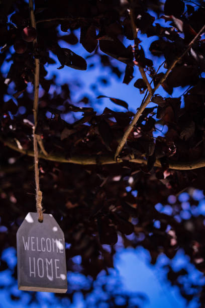 istock Welcome Home sign 977022618