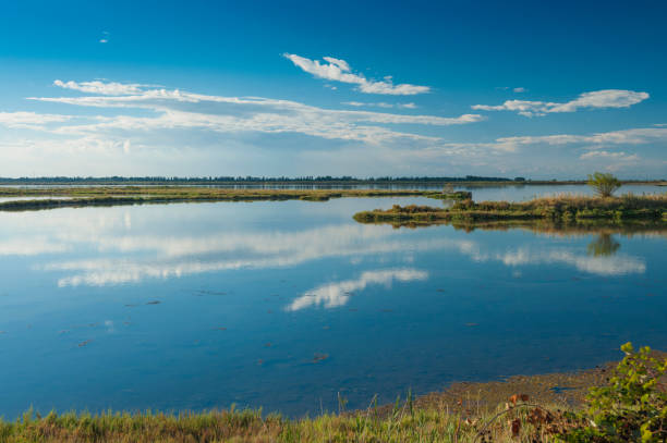 paisagem da lagoa no parque nacional rio po delta, a itália. - rovigo - fotografias e filmes do acervo