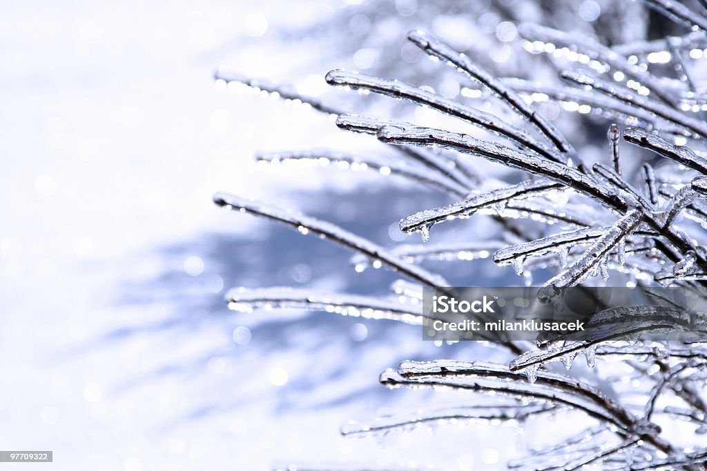 Congelato e Magnifico 6 - Foto stock royalty-free di Inverno