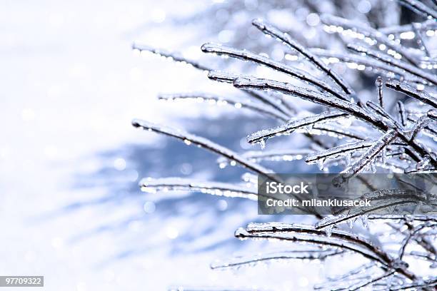 В Замороженном Виде И Красивые 6 — стоковые фотографии и другие картинки Зима - Зима, Фоновые изображения, Без людей