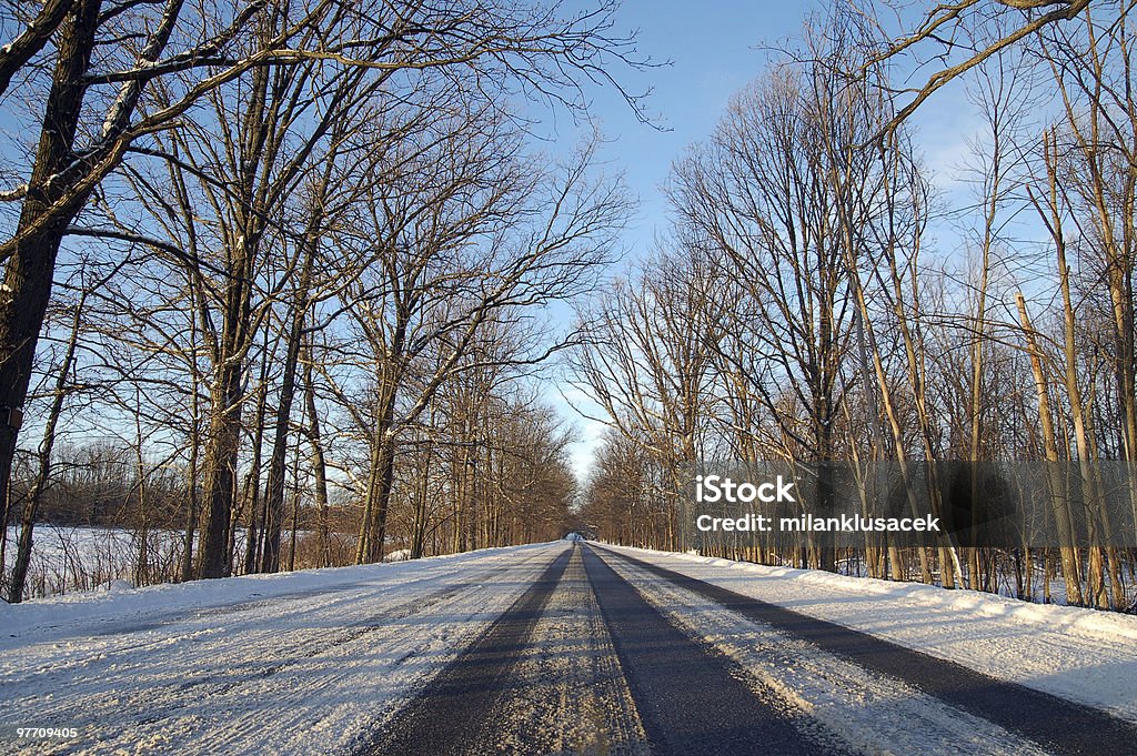 Camino de invierno - Foto de stock de Escena rural libre de derechos