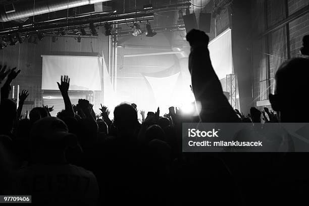 콘서트 크라우드 L 펑크-사람의 역할에 대한 스톡 사진 및 기타 이미지 - 펑크-사람의 역할, 청중, 관중