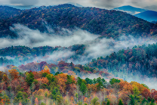 A beautiful horizontal shot of a rainy Autumn day in the Great Smoky Mountains.