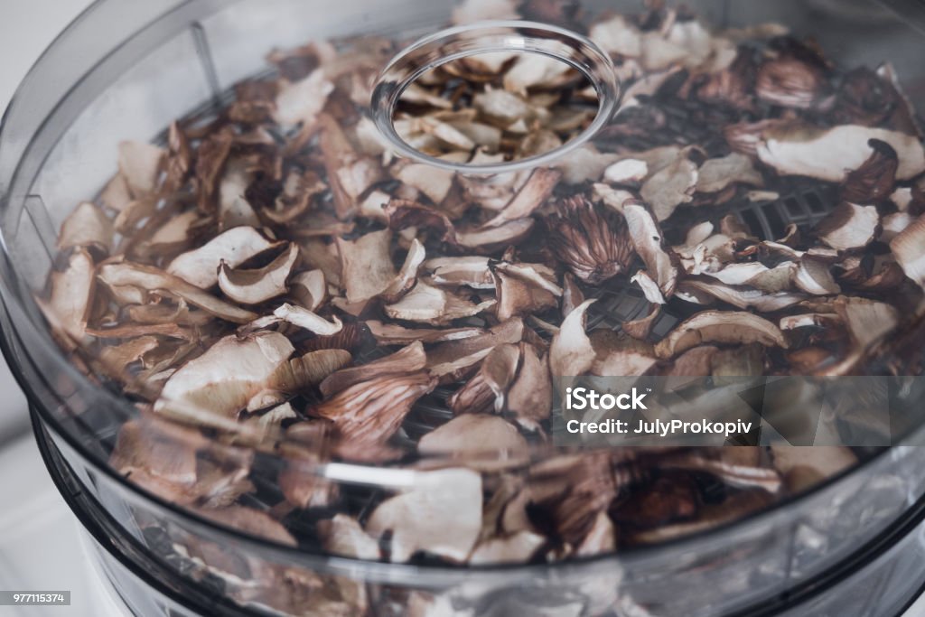 Food Dehydrator Drying Mushrooms Stock Photo - Download Image Now