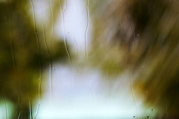istock Fresh rain splash drops on a window with background green nature in Blur 977123552
