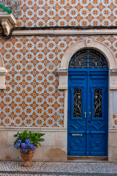 istock Blue door with purple flower vase 977149968