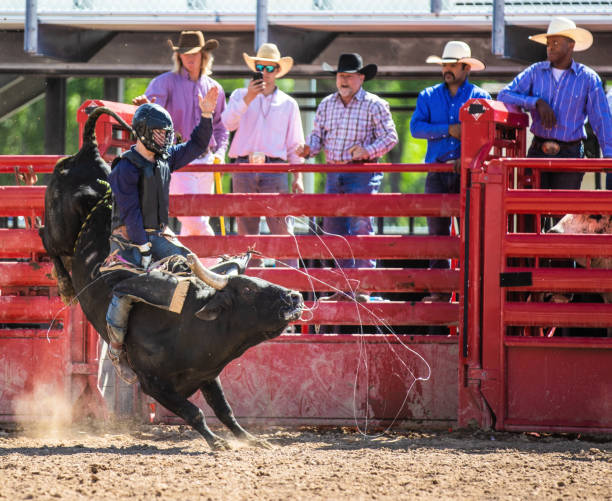 istock Cowboy Bull Riding in Rodeo Arena 977164690