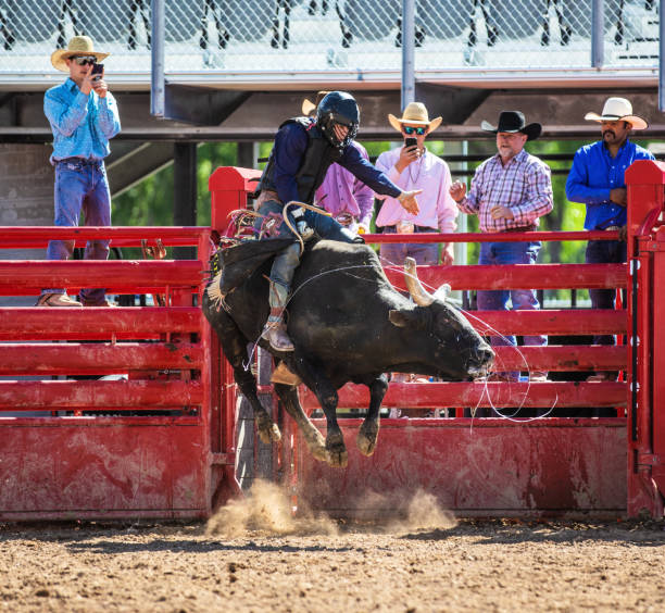 istock Cowboy Bull Riding in Rodeo Arena 977164702