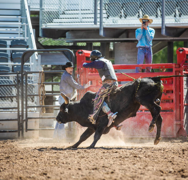 istock Cowboy Bull Riding in Rodeo Arena 977164752