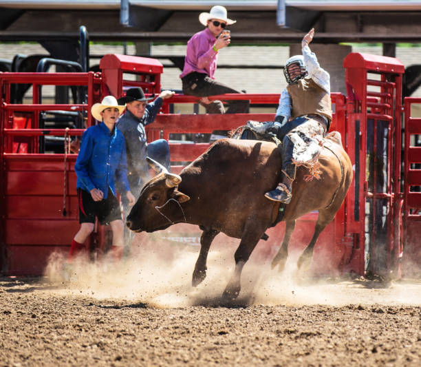 istock Cowboy Bull Riding in Rodeo Arena 977164810