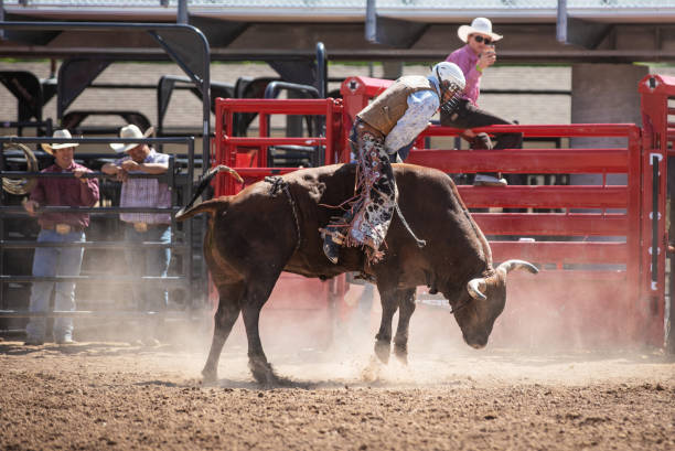 istock Cowboy Bull Riding in Rodeo Arena 977164822