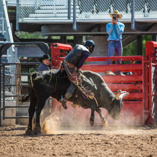 istock Cowboy Bull Riding in Rodeo Arena 977164824