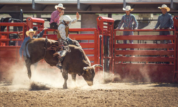 istock Cowboy Bull Riding in Rodeo Arena 977164844