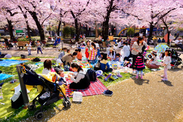 Tokyo Japan - March 29, 2018 : Kinshi Park, Unidentified japanese and tourists visit the cherry blossom. this phenomenon only once year. It is attractive to both Japanese and foreigners, main activities are family. one of Tokyo's must-see places to visit.