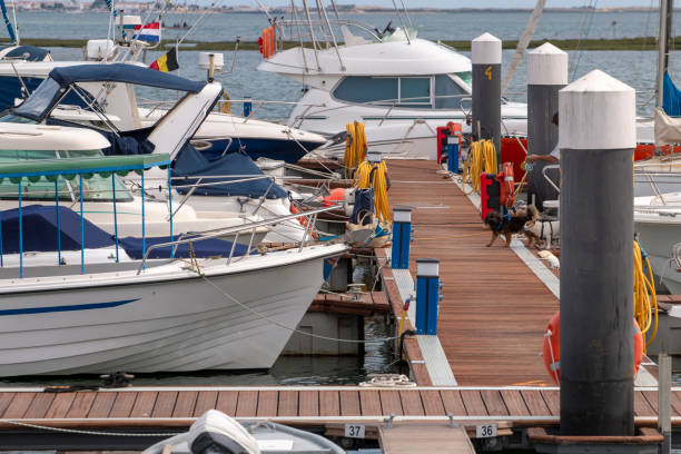 istock anchored recreational boats 977172266