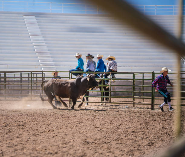 Clown working a bull at the rodeo Clown working a bull at the rodeo bull riding bull bullfighter cowboy hat stock pictures, royalty-free photos & images