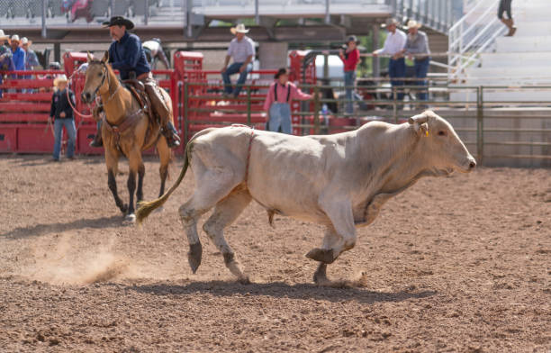 istock Clearing the bull from the rodeo arena 977197714