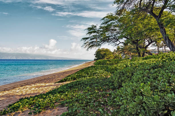 istock Walking on Kaanapali Beach in Hawaii 977204140