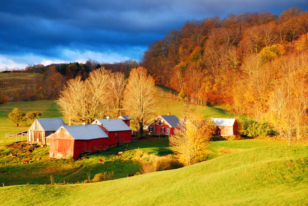 amanecer en la granja - barn conversion fotografías e imágenes de stock