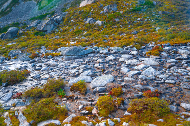 istock long exposure River in the outdoors 977226024