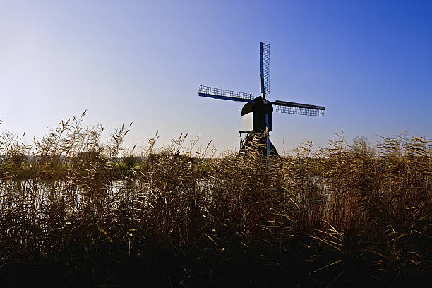 Cтоковое фото Ветряная мельница на Kinderdijk