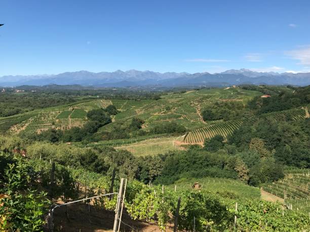 gattinara, italy - wouter imagens e fotografias de stock