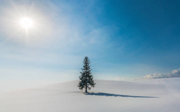 istock snow hill  at Biei ,Hokkaido 977256054