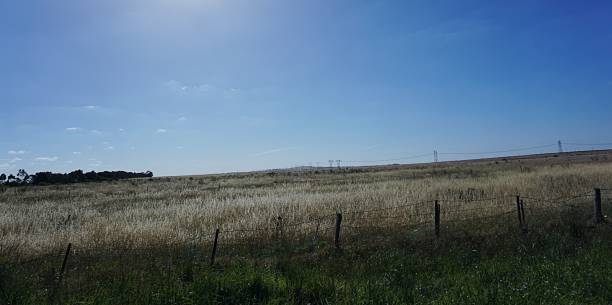 istock Outback of Australia 977256346