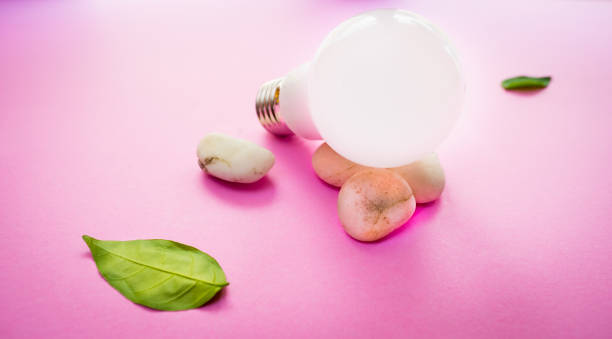 istock Bright light and leaves sign symbol zen and idea on pink background 977256928