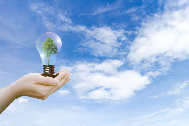 istock human hands holding big plant tree in light bulb with ecology concept world environment 977264288