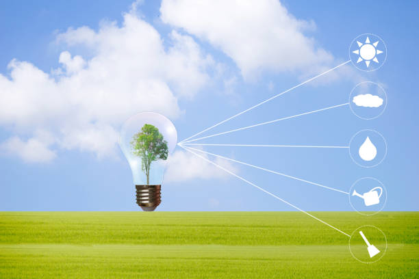 istock Ecology concept holding big plant tree in light bulb with world environment icon 4.0 technology 977264480