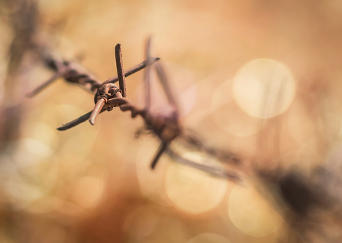 Human rights and social justice abstract concept with blurry barbed wire rod fence, candle light lit yellow gold bokeh