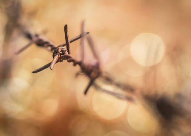 human rights and social justice abstract concept with blurry barbed wire rod fence, candle light lit yellow gold bokeh - war criminal imagens e fotografias de stock