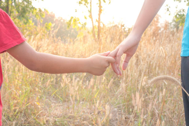 istock Midsection Of Siblings Holding Hands On Field 977293240