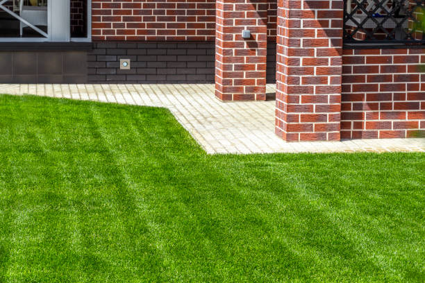 istock Beautiful lawn in the backyard 977298400
