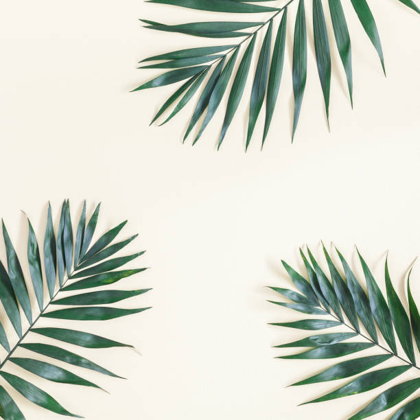 istock Green tropical leaves on yellow background. Flat lay, top view 977302864