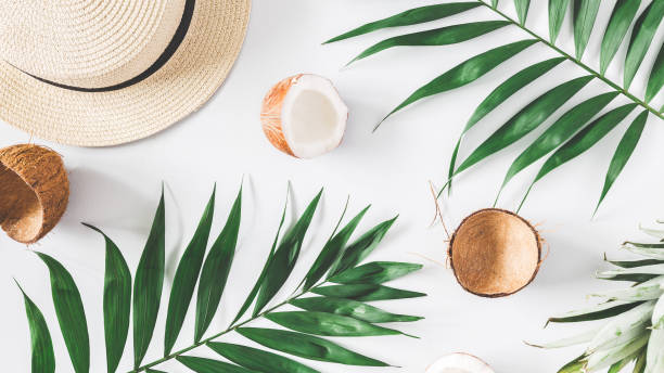 istock Tropical palm leaves, hat, coconut, pineapple. Summer concept 977311166