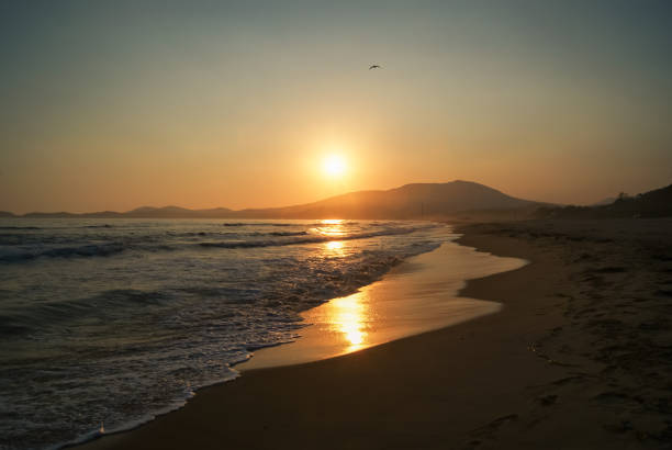 istock Beautiful landscape of seashore at sunset 977323800
