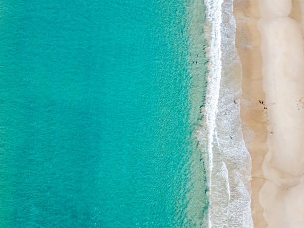 istock An aerial view looking down at the beach and sand with calm blue turquoise water 977363876