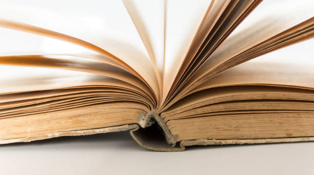 istock Opened book pages on white background closeup. Love read concept. Knowledge symbol. Book day 977393932