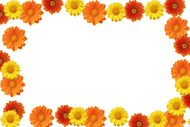 istock Flower frame/border XXXL 97739429