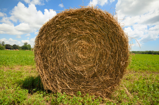 A single hay bale. Adobe RGB color profile.